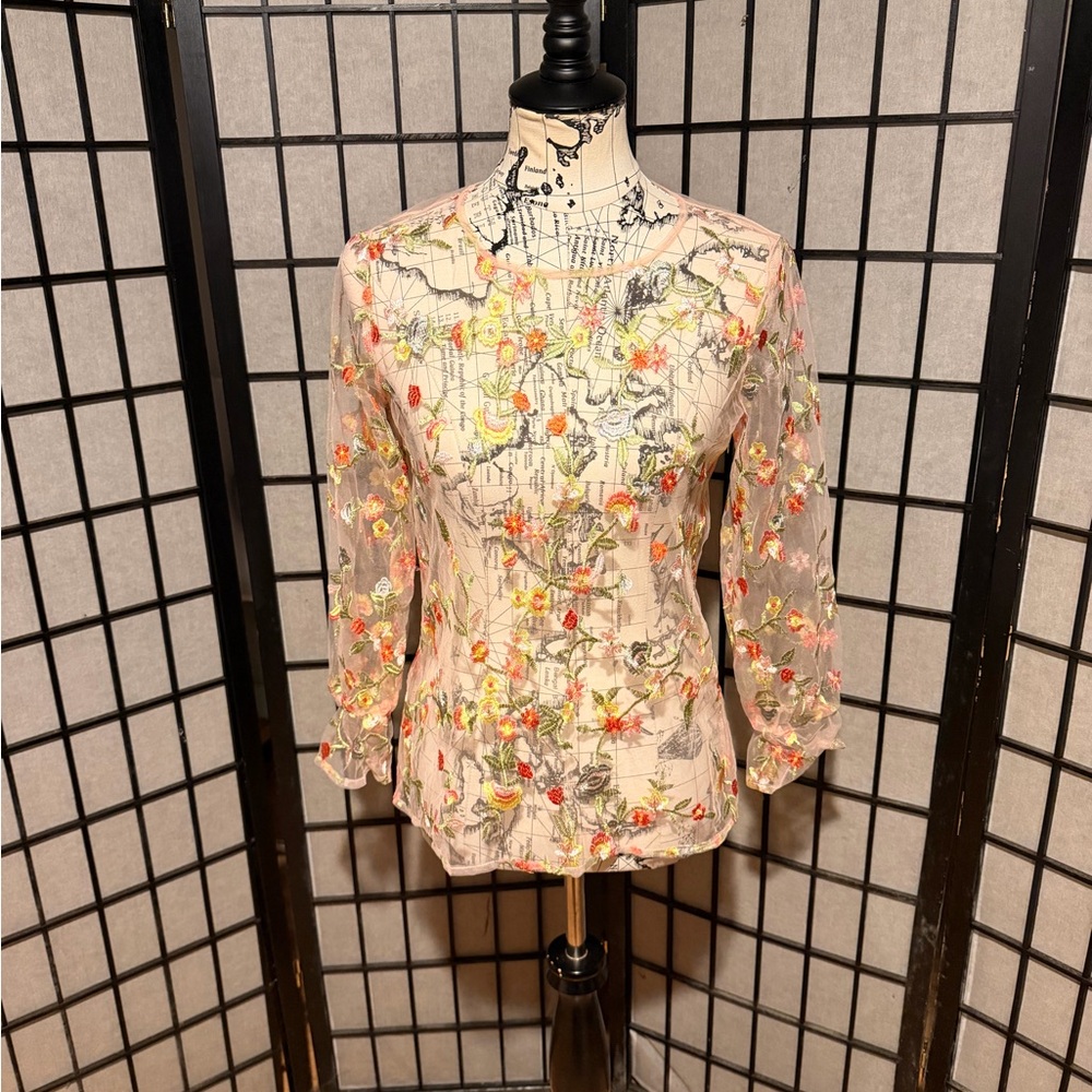 Embroidery Sweet Feminine Floral Sheer Long Sleeve prairie Coquette Colorful
